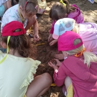 1000019734 1000019734