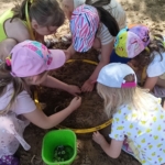 1000019735 1000019735