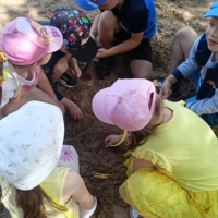 1000019736 1000019736