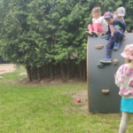 IMG 20250528 114625 IMG 20250528 114625