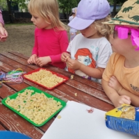 IMG 20250617 101932 IMG 20250617 101932