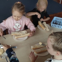 IMG 20251029 101545 IMG 20251029 101545