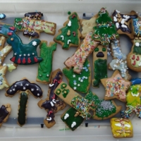 IMG 20251209 162211 IMG 20251209 162211