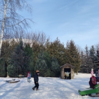 IMG 20260112 115559 IMG 20260112 115559