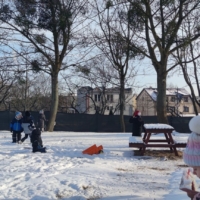 IMG 20260112 115605 IMG 20260112 115605