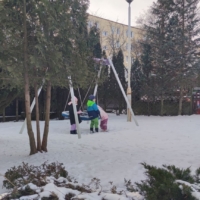 IMG 20260112 115920 IMG 20260112 115920