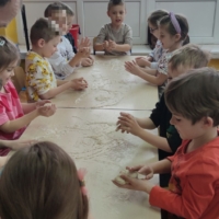 IMG 20260210 094619 IMG 20260210 094619