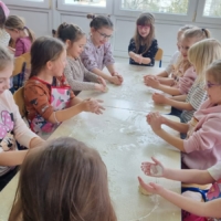 WhatsApp Image 2026 02 24 at 12.55.49 (1) WhatsApp Image 2026 02 24 at 12.55.49 (1)