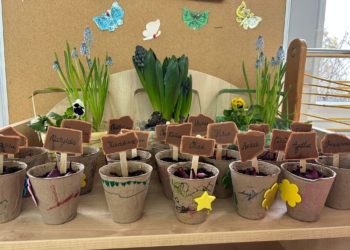 WhatsApp Image 2026 04 07 at 22.44.17 (2) WhatsApp Image 2026 04 07 at 22.44.17 (2)