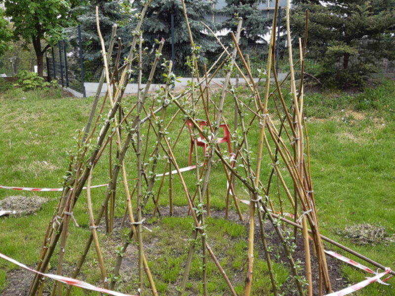 tipi 1 1